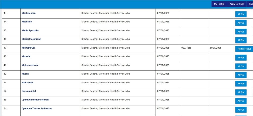 Print form how to apply jobs in balochistan 2025